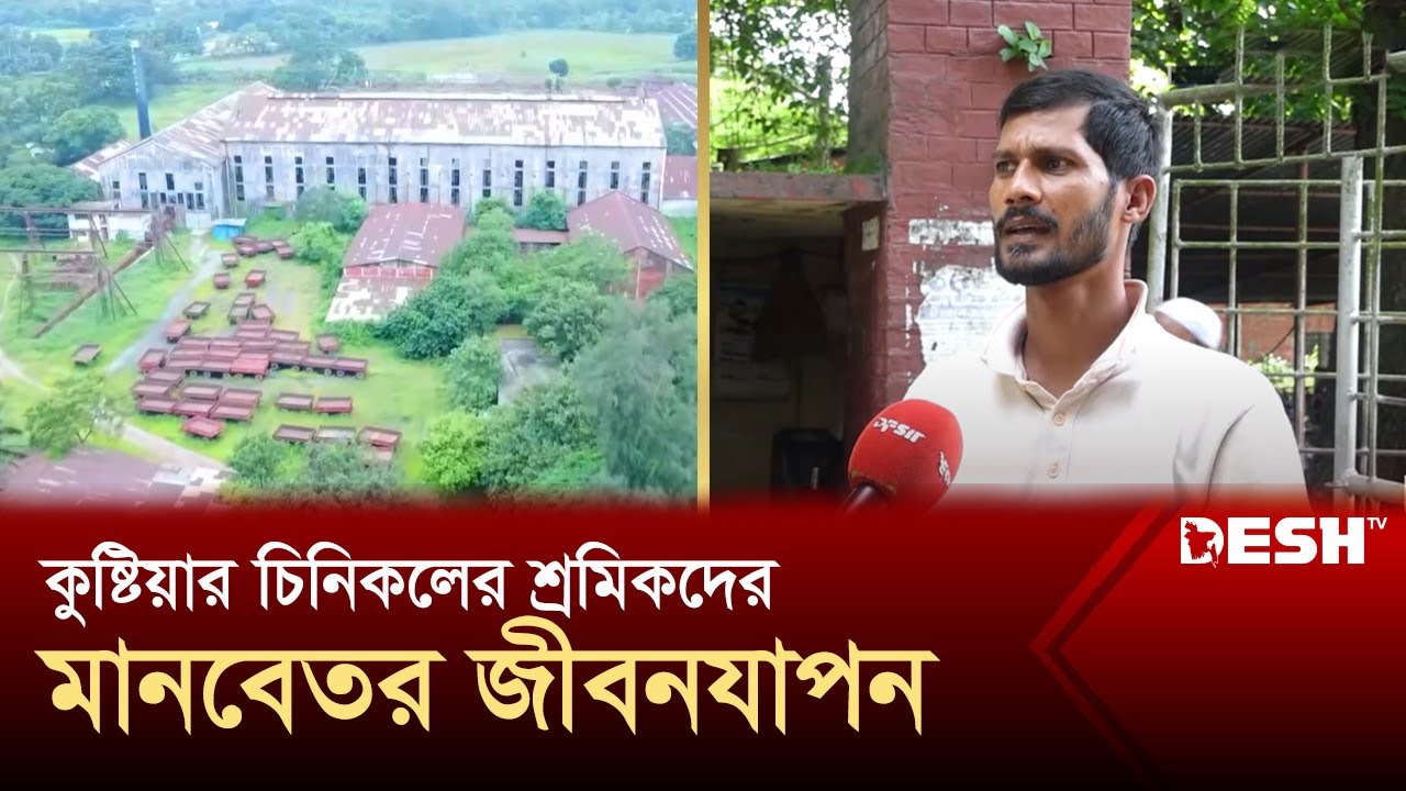 লোকসানে বন্ধ হওয়া চিনিকল অস্তিত্ব সংকটে, পুনরায় চালুর দাবি | Kushtia Sugar Mill | News | Desh TV