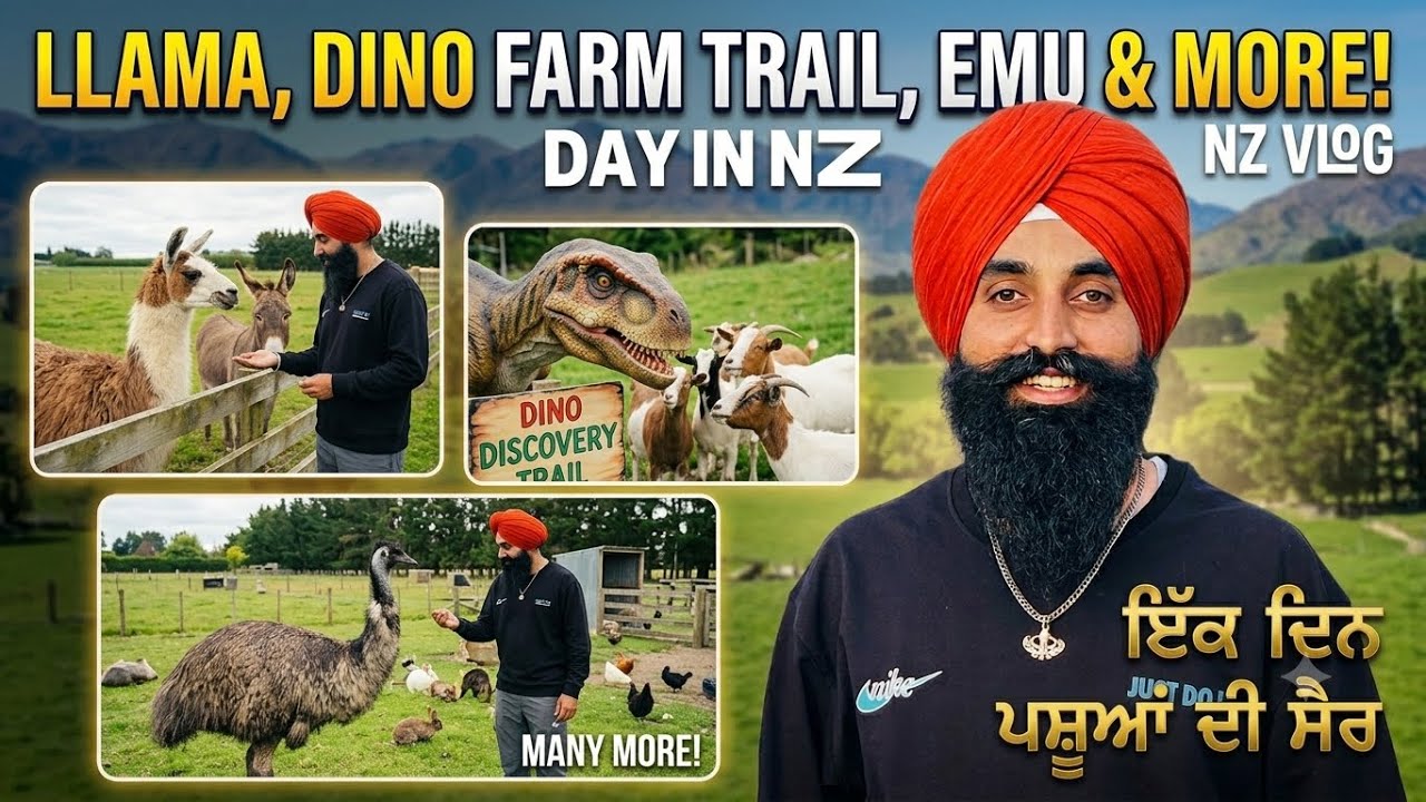 ਕੀ ਡਾਇਨਾਸੌਰ ਅੱਜੇ ਵੀ ਜ਼ਿੰਦਾ ਹੈ ਨਿਊਜੀਲੈਂਡ   ਇਹ ਜਾਨਵਰ ਥੁੱਕ ਦਿੰਦਾ, ਮੋਰ ਕਿੰਨੇ ਸੋਹਣੇ   ExploreNZworld