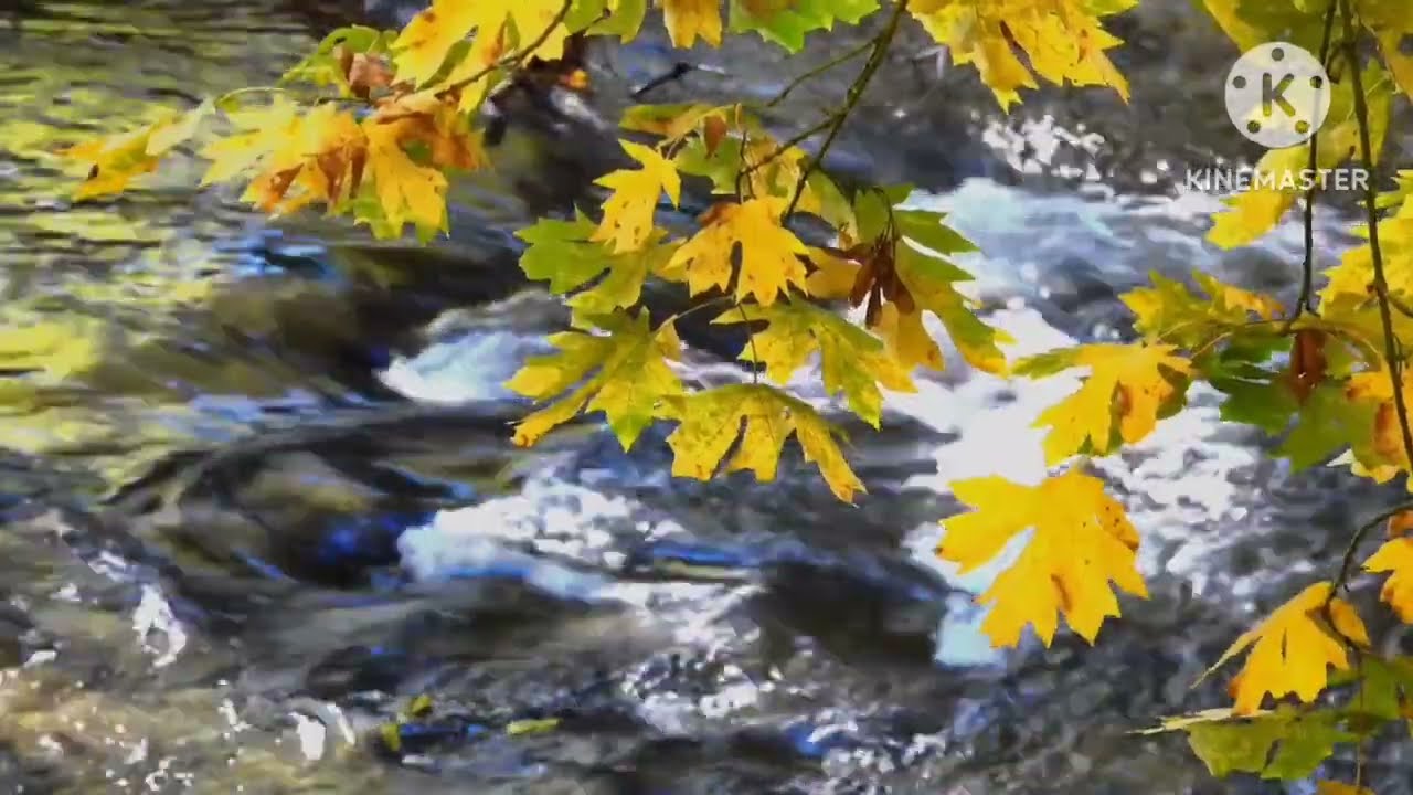 Mellilu ne melulu#Cristan song 