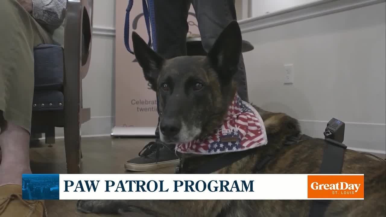 Paw Patrol Program