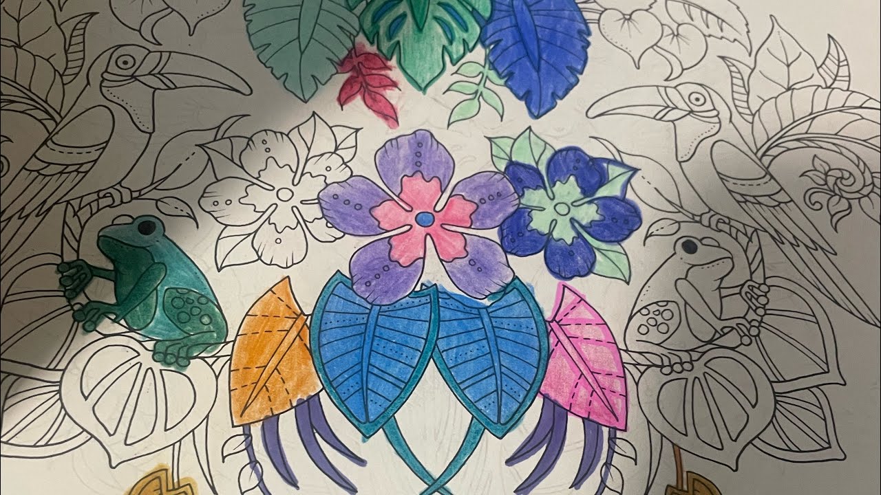 Color in with me in Johana basford coloring book 