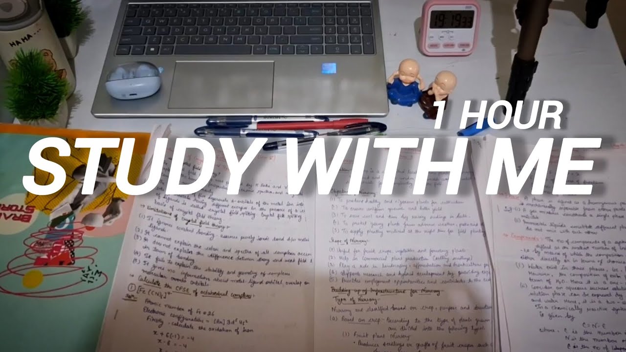 STUDY WITH ME | 1 Hour Real Time Study Session | No Breaks 📚