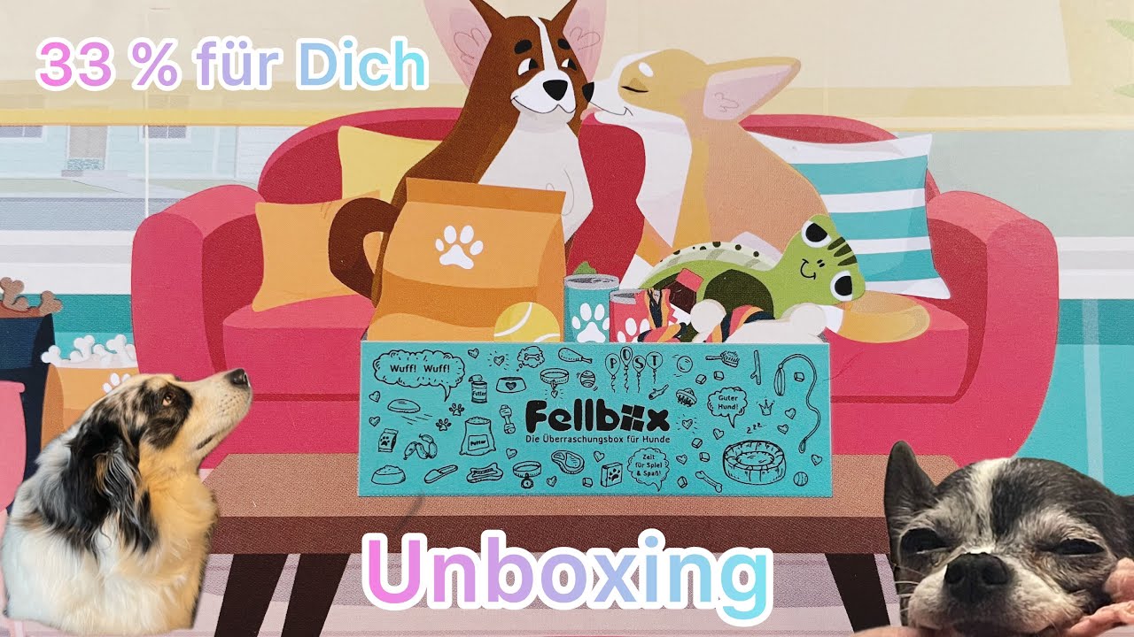 Fellbox 🤩 Unboxing 🍂 Wie reagieren meine Hunde auf Ihre 1. Fellbox ❤️ Mach Deinen Hund glücklich🤩