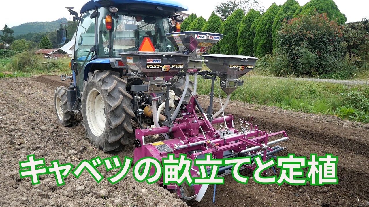 キャベツの畝立てと定植21/9/28#1313