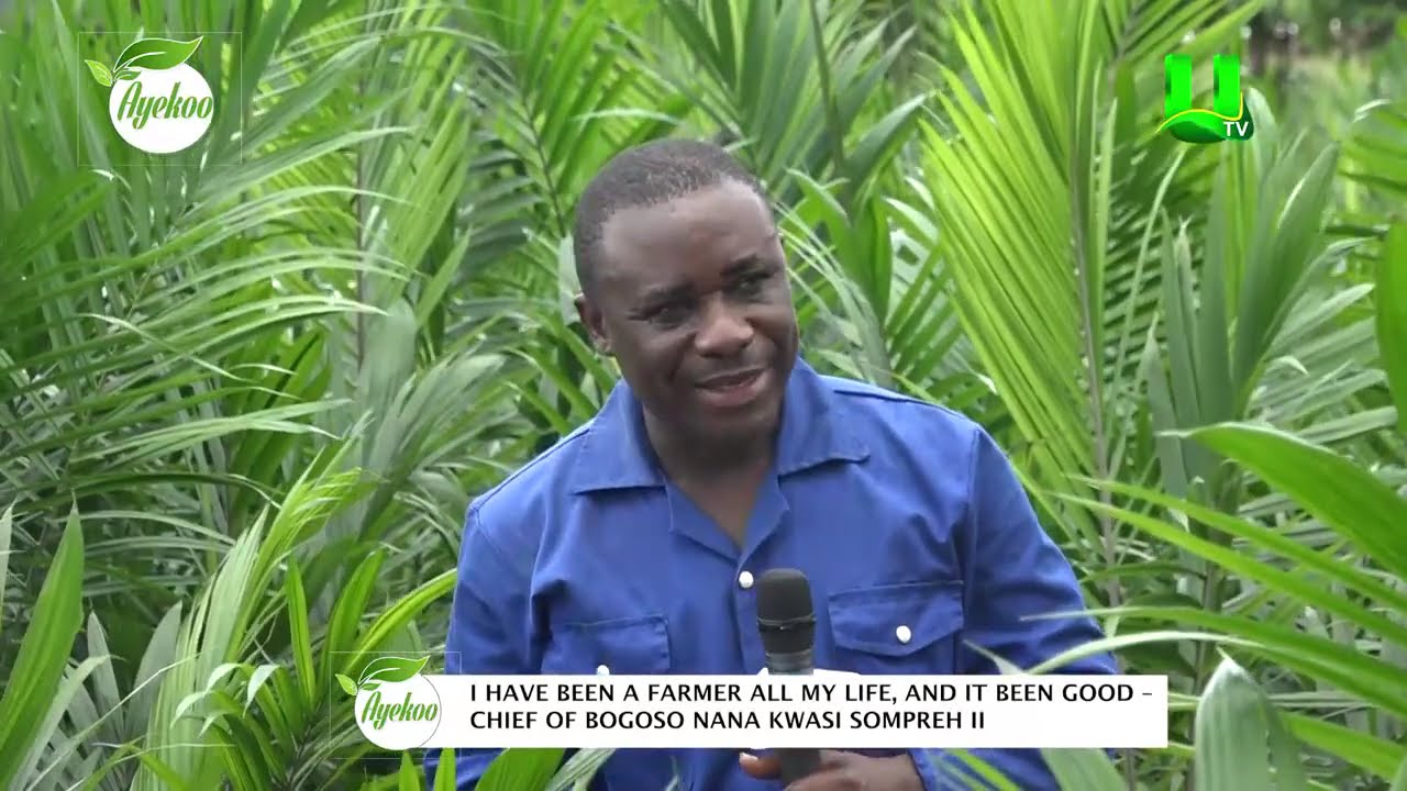 AYEKOO: I HAVE BEEN A FARMER ALL MY LIFE, AND IT''S BEEN GOOD – CHIEF OF BOGOSO