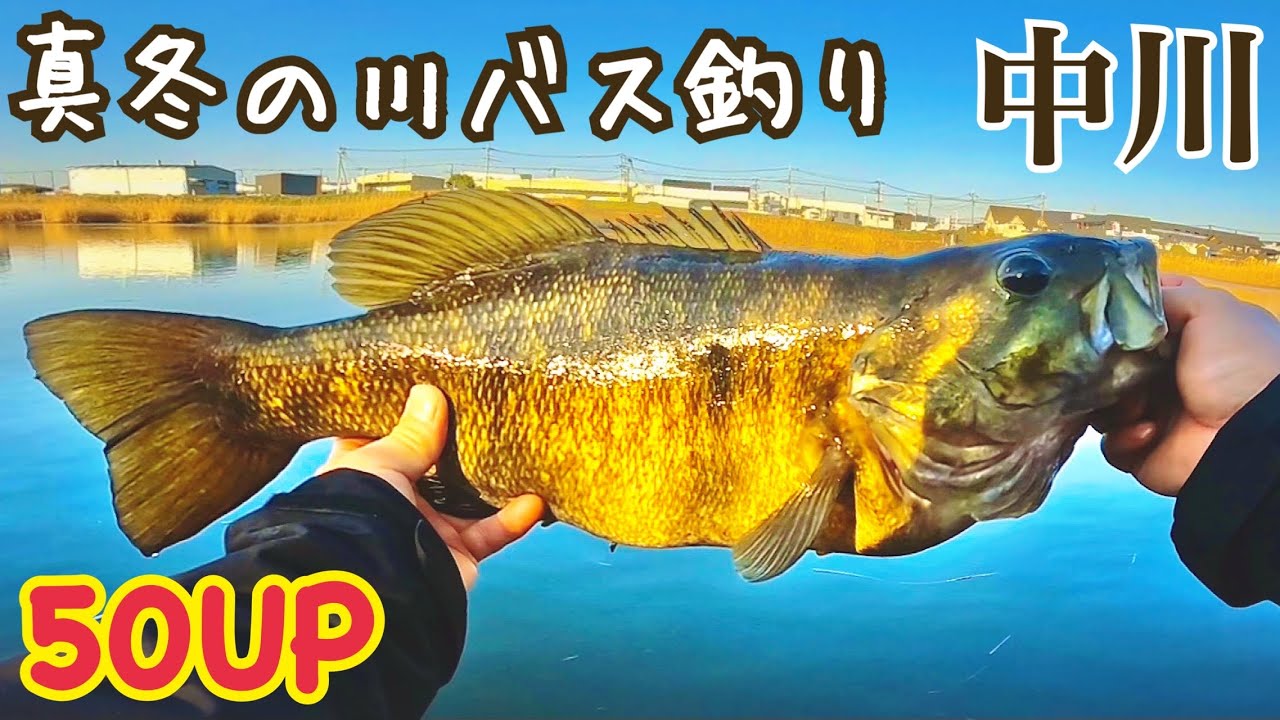 川で狙うスモールマウスバス釣り【中川】　