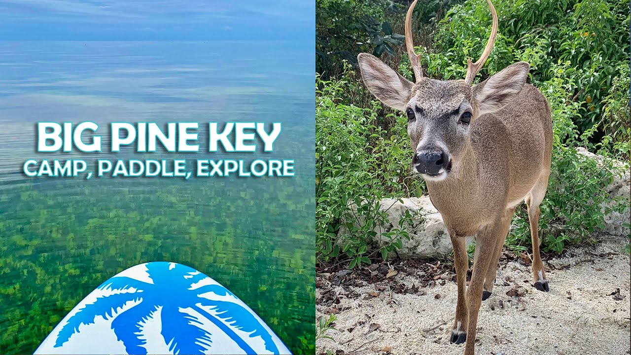 Camping Big Pine Key at Key Deer Refuge - SUP, Kayaking, Fishing, Sunrise Paddles, Campfires & more!
