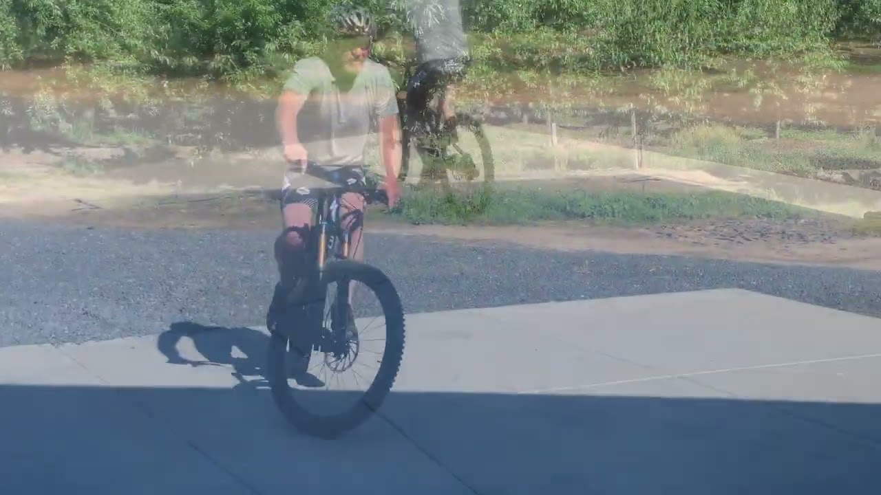 Old dog new tricks