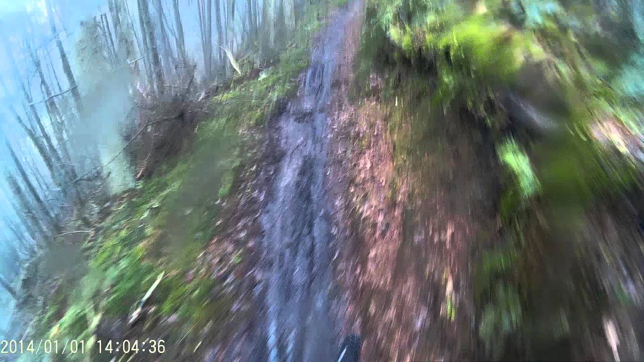 Black Route, Dalby Forest, Mountain Bike, MTB, Orange Crush.