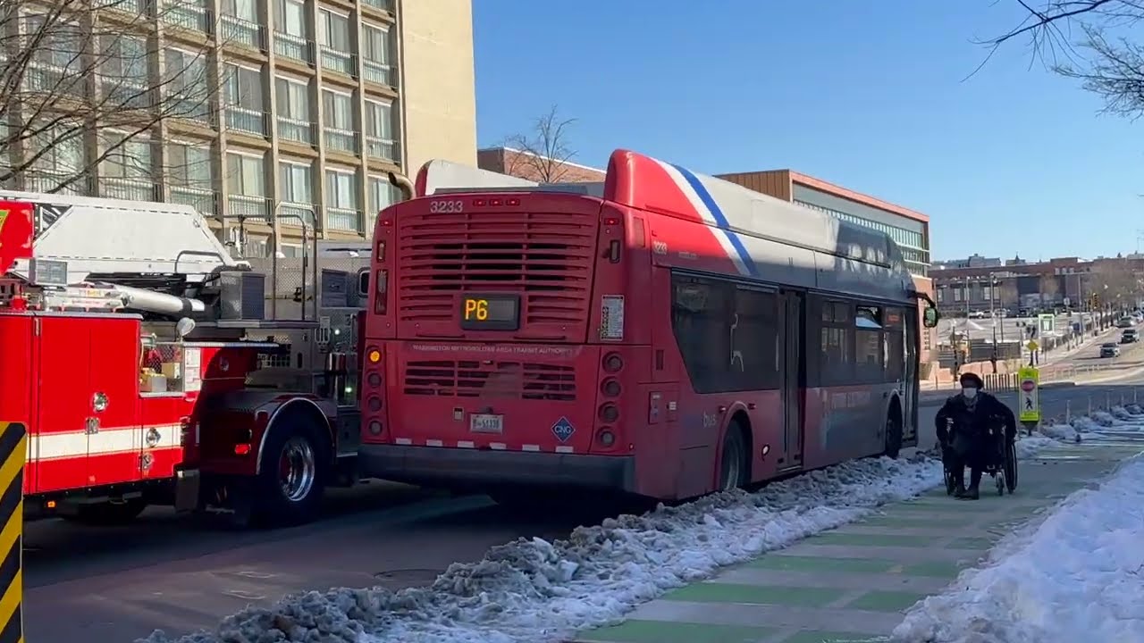 Buses around the DMV Region #3