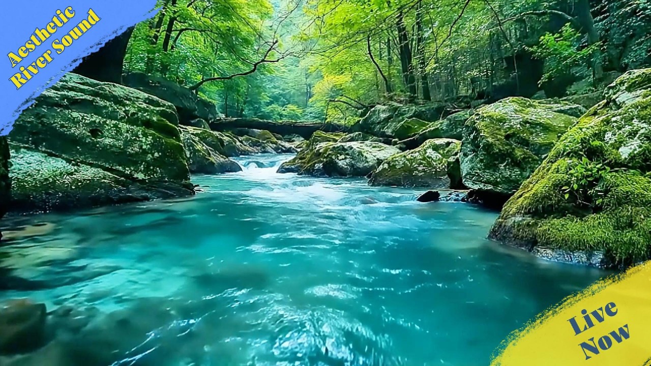 Quiet Your Overstimulated Brain 🧠 River ASMR, nature sounds for sleeping