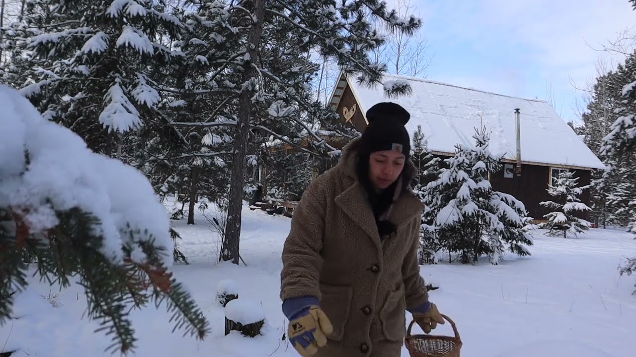 Daily homestead chores in zero degree weather | Northern Minnesota