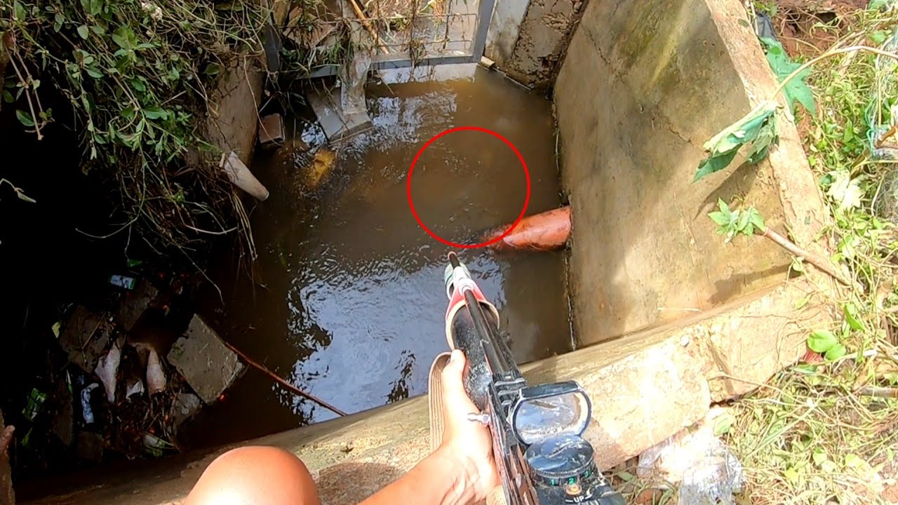 Benar Benar Mengerikan..!! Siapa Sangka Selokan Kecil Seperti ini Di Huni ikan