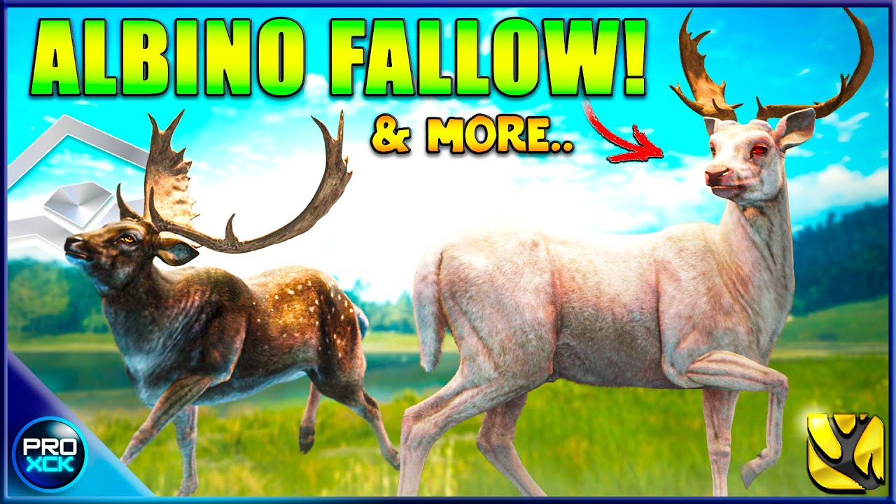 4 Diamonds! | A Legendary Grind Begins in theHunter Call of the Wild