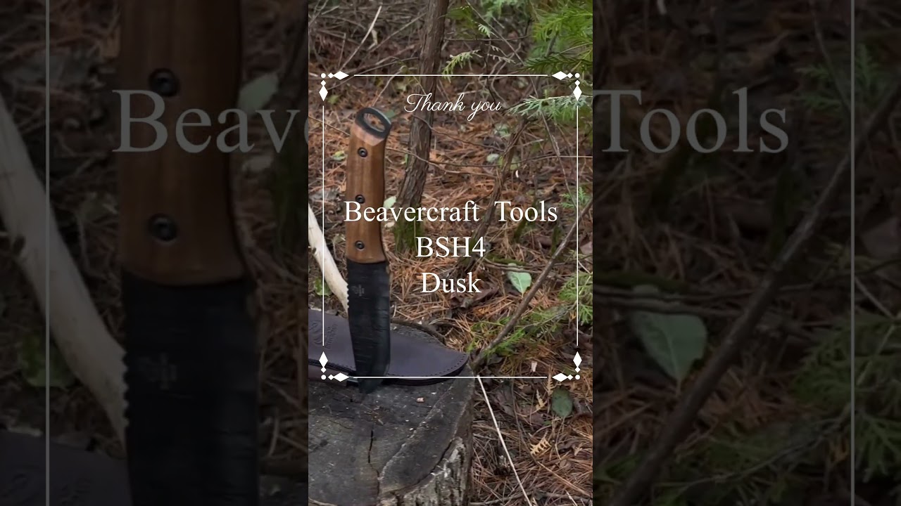 Best budget friendly Bushcraft / Camp knife 