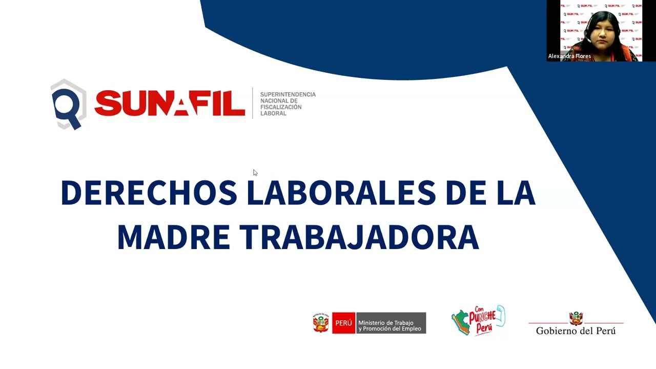 Capacitación virtual “Derechos laborales de la madre trabajadora