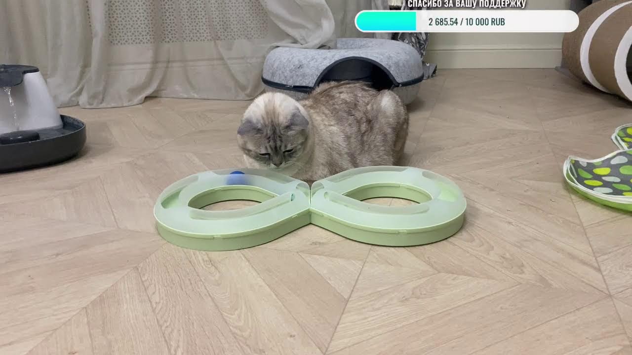 Добрый вечер