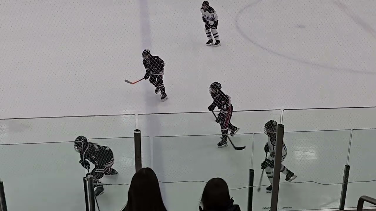 Vs. Ottawa Ice (Playdowns Game) 02/23/2026 (4K, 2nd Period) 