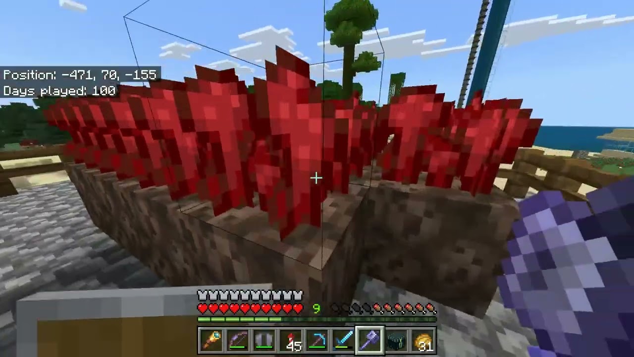 Tour of our Minecraft World