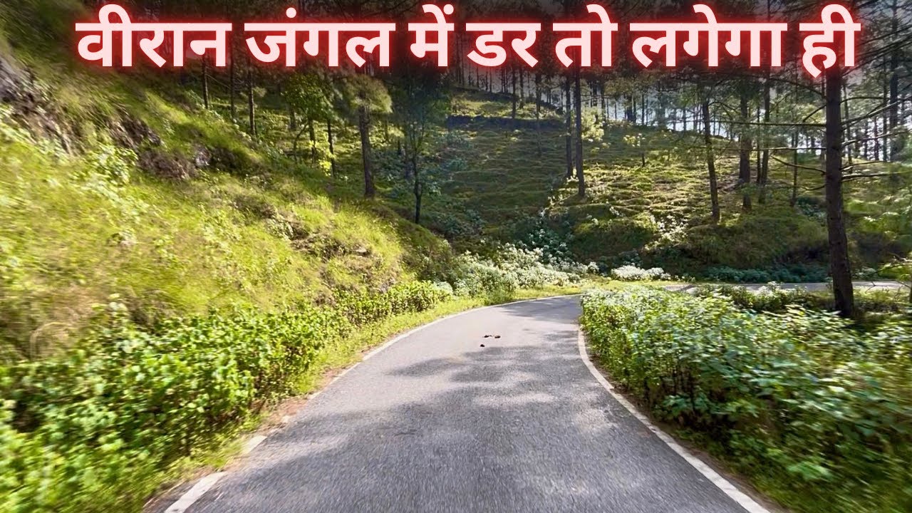 Dangerous Dhikala Forest Backside Drive | Tiger Attack | Jim Corbett National Park | Maneater 