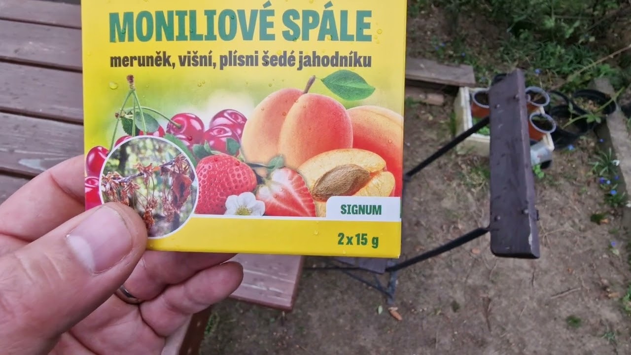 Postřik proti moniliniové spále peckovin - příprava