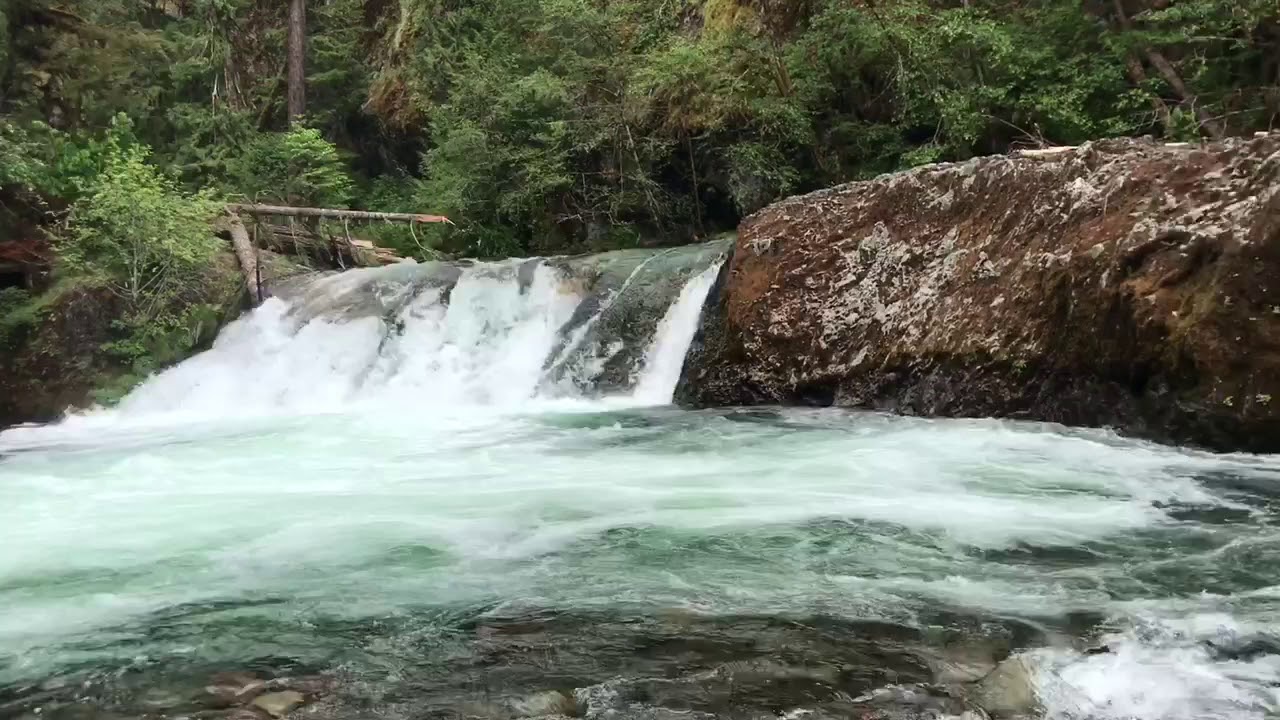 Salmon Creek Falls near Oakridge, Oregon