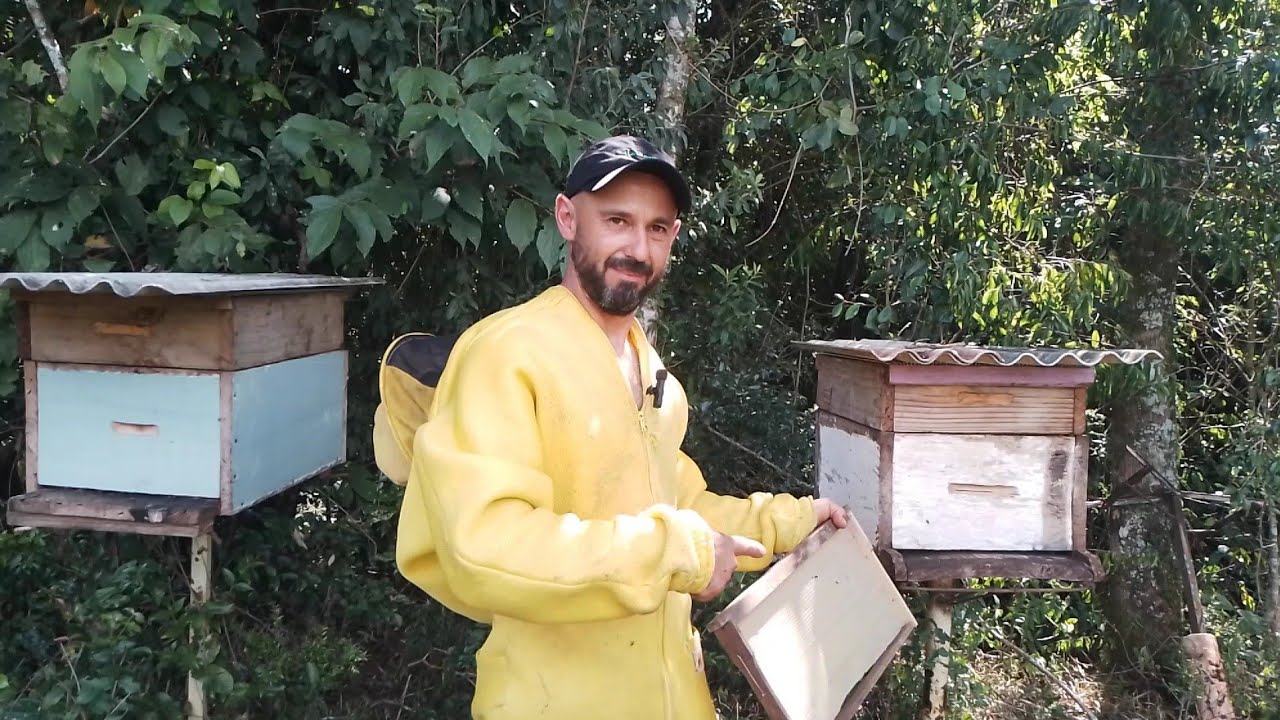 Trocar favos velhos agora???
