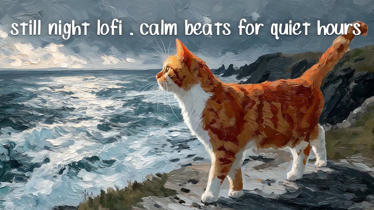 still night lofi 🌙 | calm beats for quiet hours