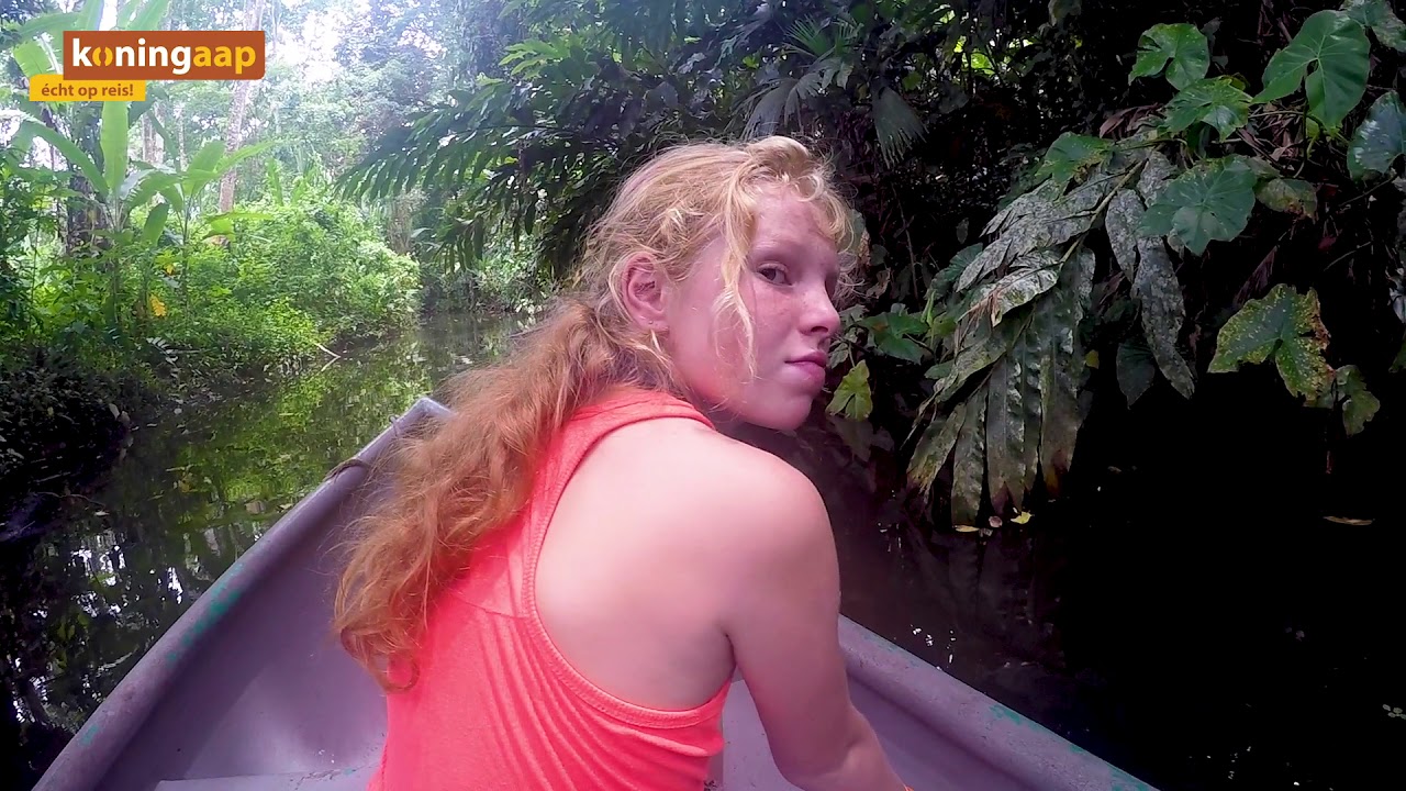 Costa Rica | Familiereis Koning Aap
