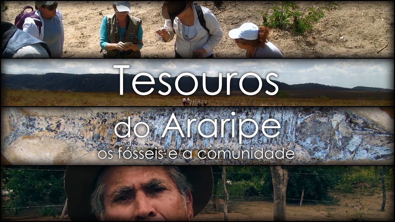 Tesouros do Araripe I: Os Fósseis e a Comunidade