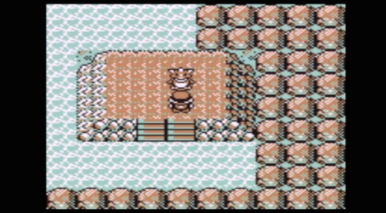 Pokémon Red: Part 27 (Cerulean Cave)