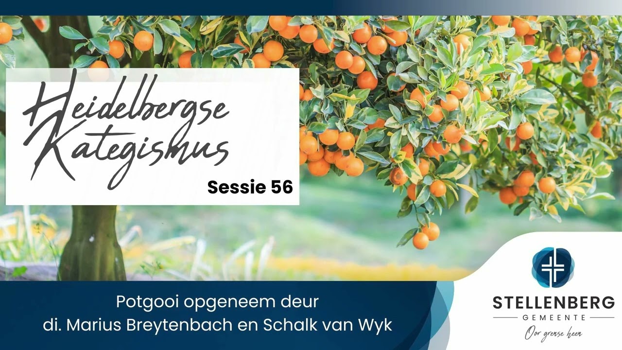 Heidelbergese Kategismus | Sessie 56