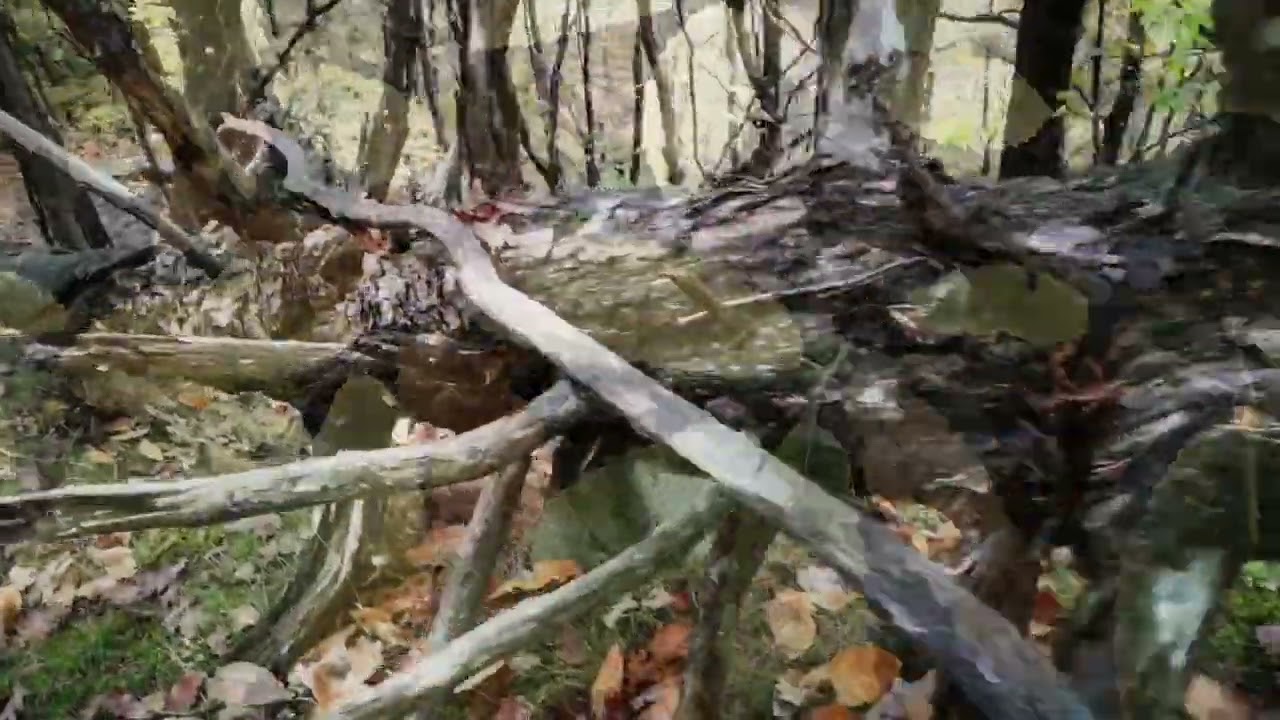 Autunno a Roure  (TO) - Val Chisone