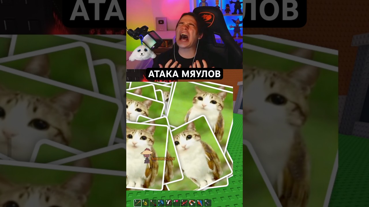 МЯУЛЫ снова взялись за старое&hellip;. #ильди