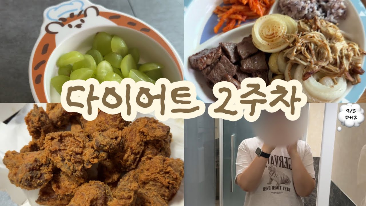 172cm 94kg 고도비만 다이어트 2주차