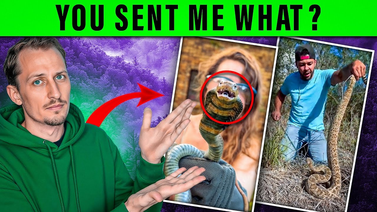 20K Special: Reacting to YOUR Craziest Snake Clips!