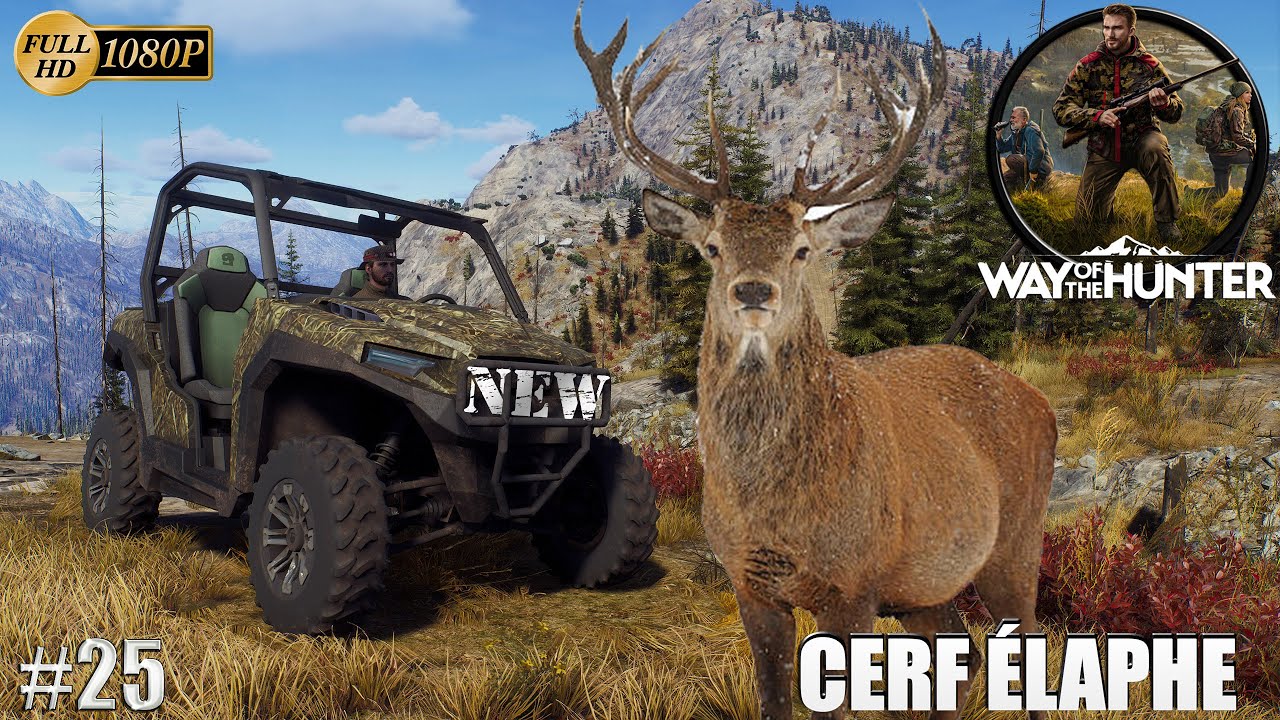 WAY OF THE HUNTER NOUVEAUTÉ GAMEPLAY #25 À LA CHASSE DU CERF ÉLAPHE ! CHASSE 2023
