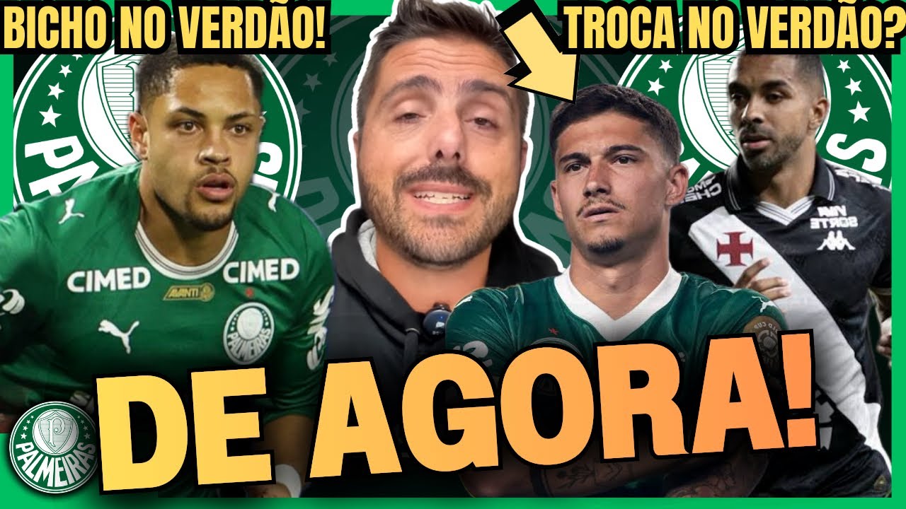 🚨AGORA! CANAL DO NICOLA TRAZ INFORMAÇÕES DO PALMEIRAS | AS ÚLTIMAS NOTÍCIAS DO VERDÃO!