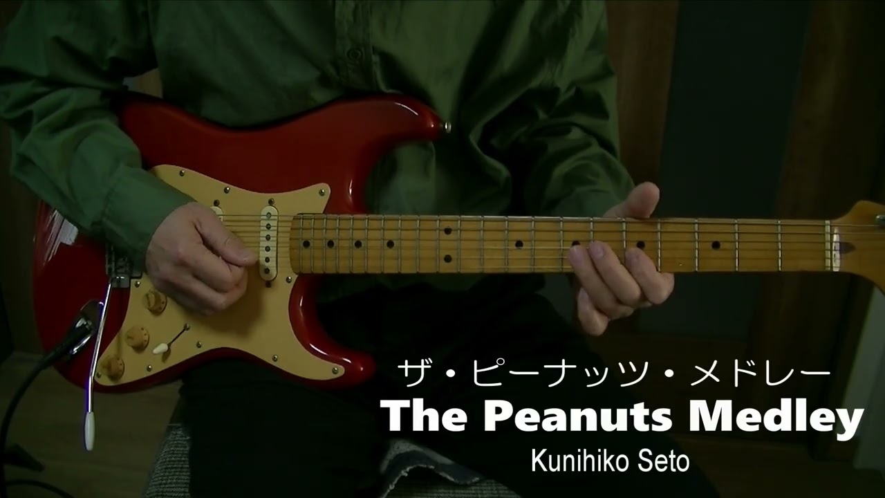 ザピーナッツメドレー The Peanuts Medley