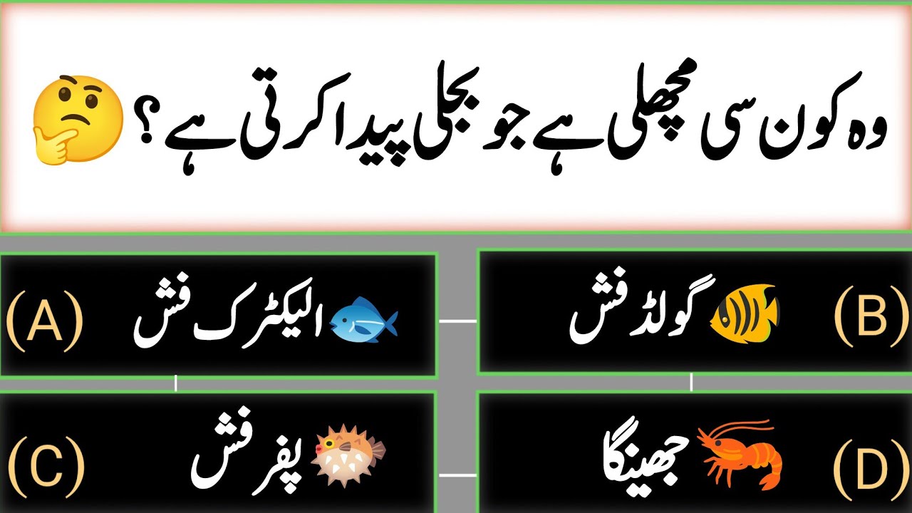 Birds & Fish Paheliyan | Kids Mix Urdu Quiz | پرندے اور مچھلیاں 🐦🐟