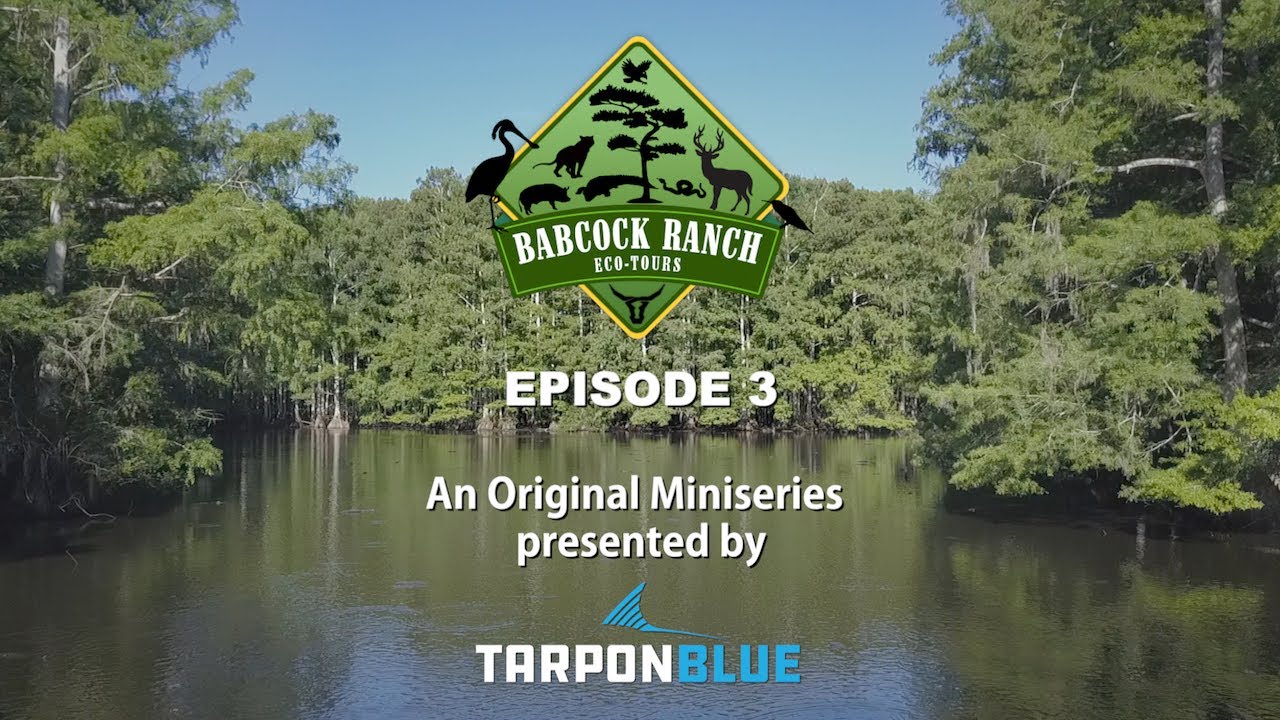 Babcock Ranch Eco-Tours Miniseries, Episode 3. Discover what it's like Working with our Cowboys!