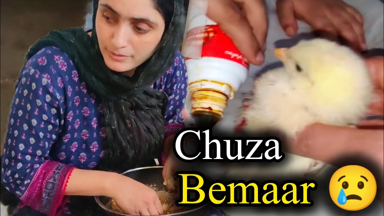 Hamara Chuza Bemaar Ho Gaya 😢 | Pura Din Pareshani | Family Vlog