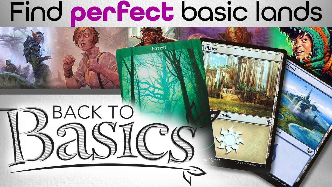 Find the Best Basic Lands for Lonis, Jaxis, Sram, Alibou, Timmy |  Back To Basics #28