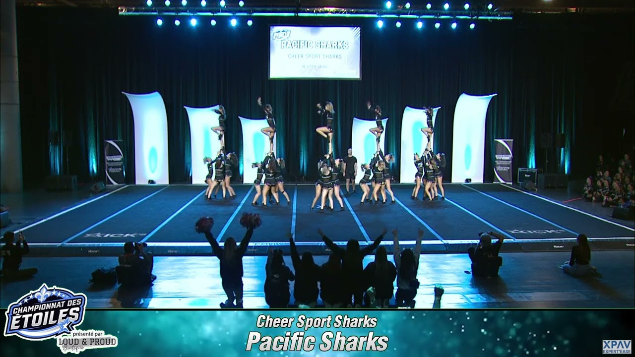 124 - Cheer Sport Sharks - Pacific Sharks - W-Open-L5-AG