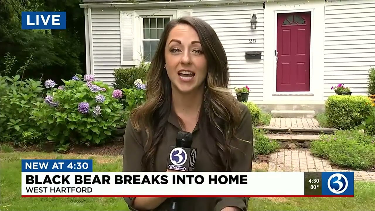 Bear breaks into West Hartford home