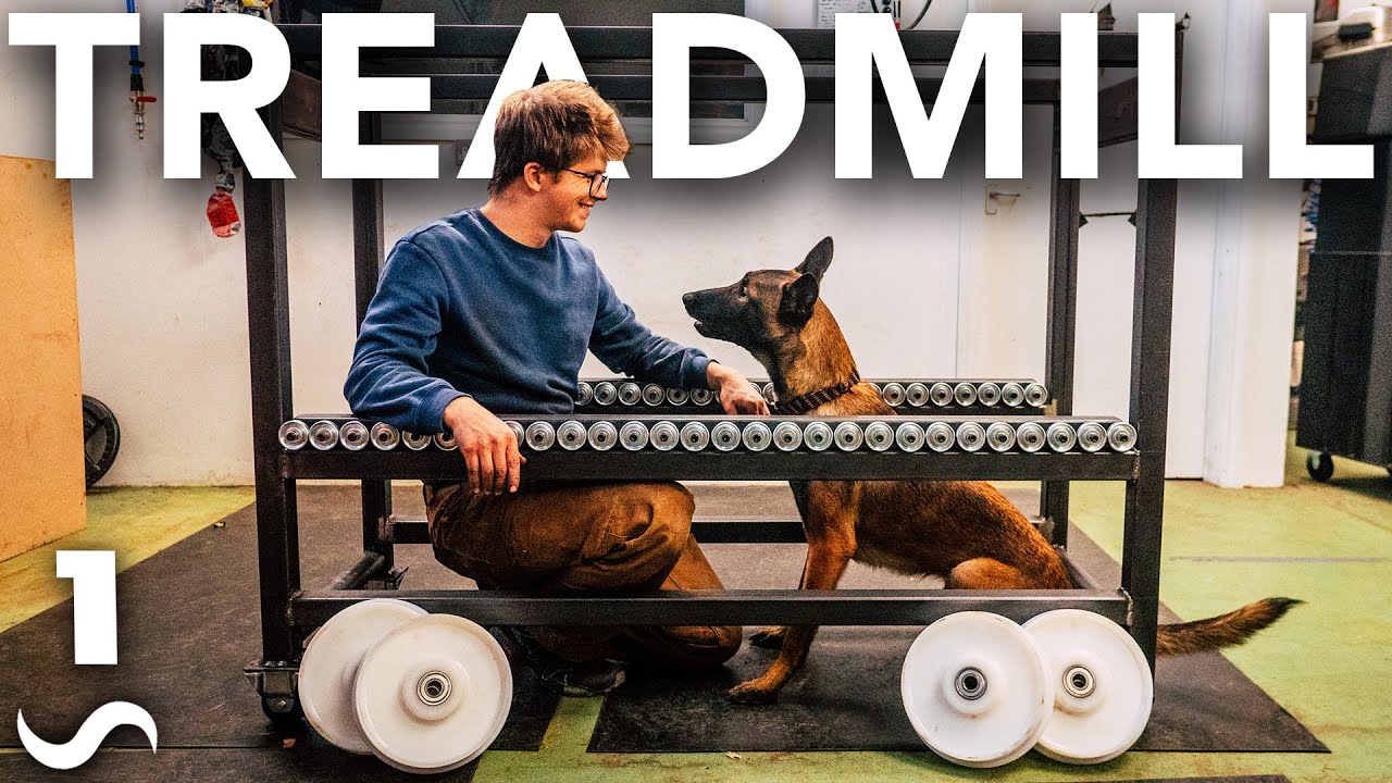 Making my dog a treadmill (so I can harness her ENERGY mwuhahaha) - Part 1