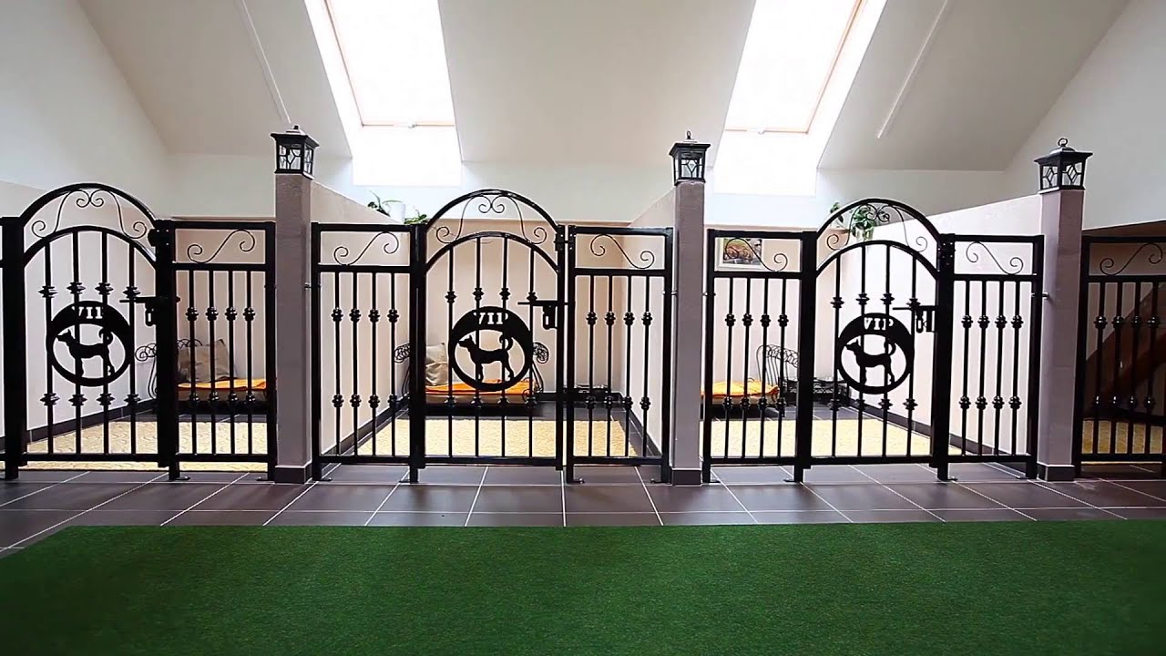 Hotel pro psy VIP PETS – virtuální prohlídka