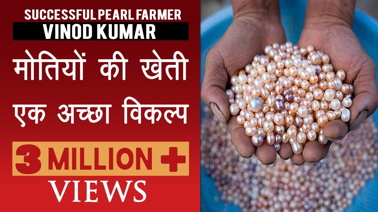 कैसे एक इंजीनियर बना मोतियों की खेती का सफल किसान I Pearl Farming I Moti ki kheti