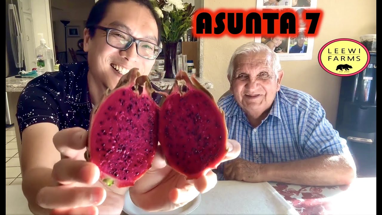 Introducing the ASUNTA 7 Dragon Fruit with Edgar Valdivia