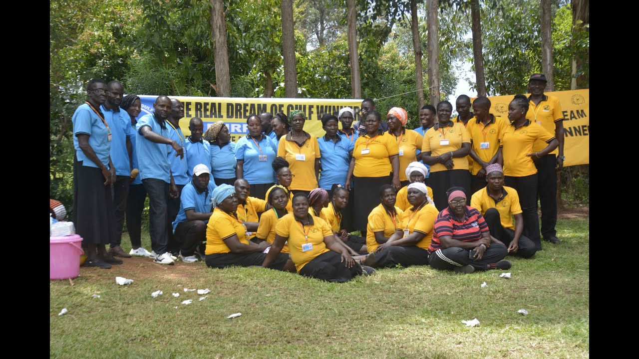 The Real Dream of Gulf Winners